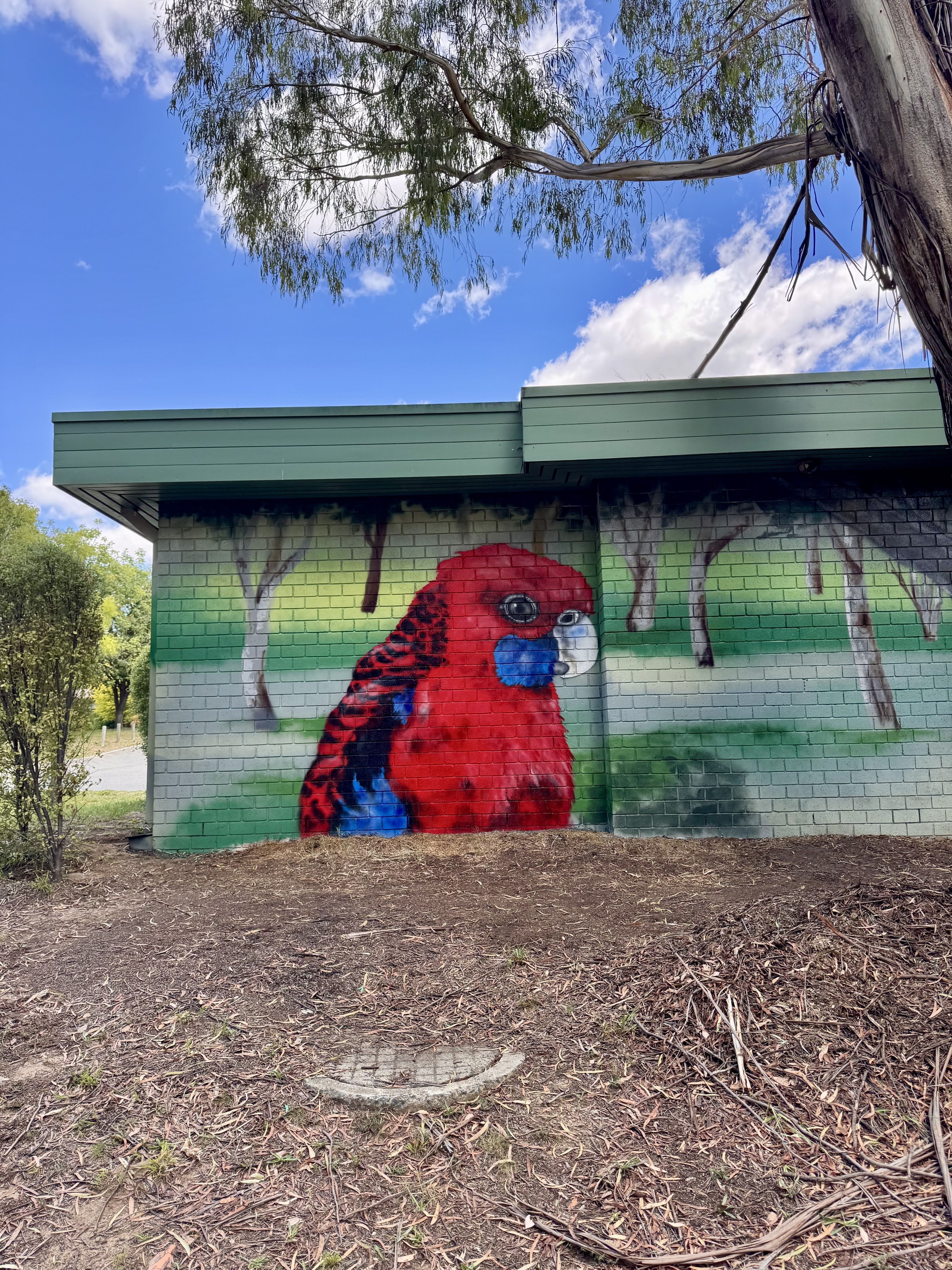 A mural of a rosella