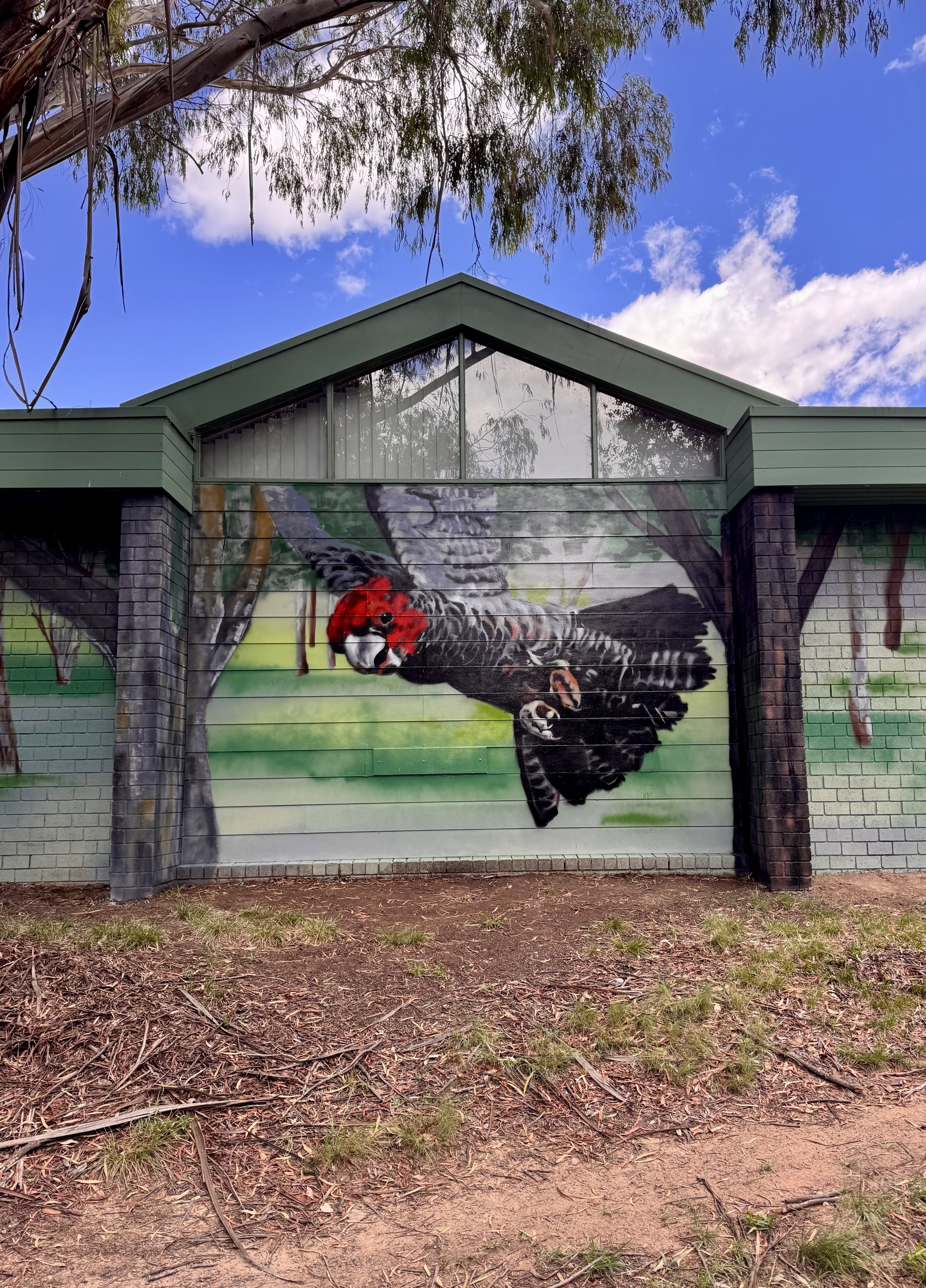 A mural of a gang gang cockatoo in flight