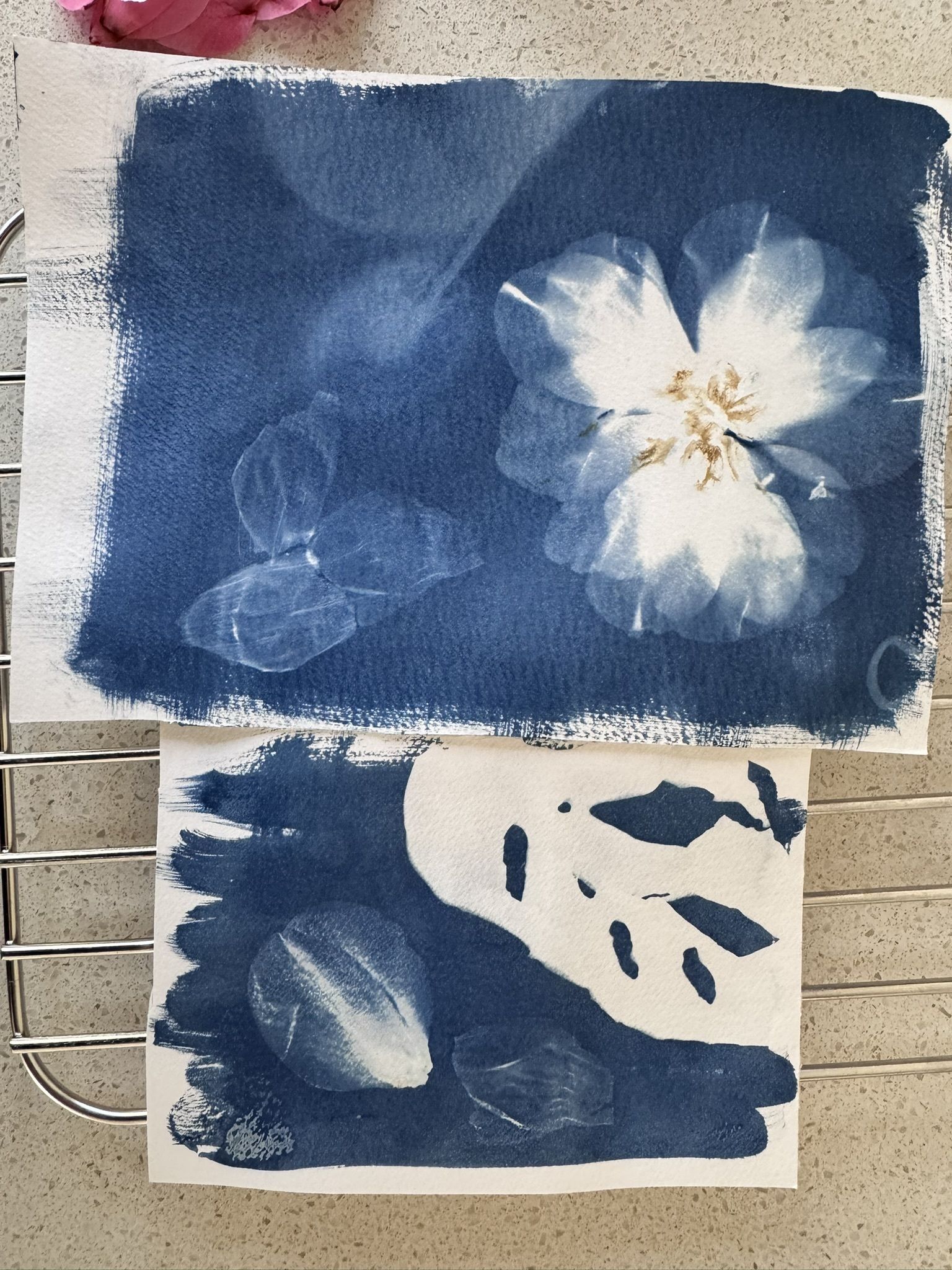 Two blue and white paintings on paper, one with a flower and butterflies, the other with abstract shapes.