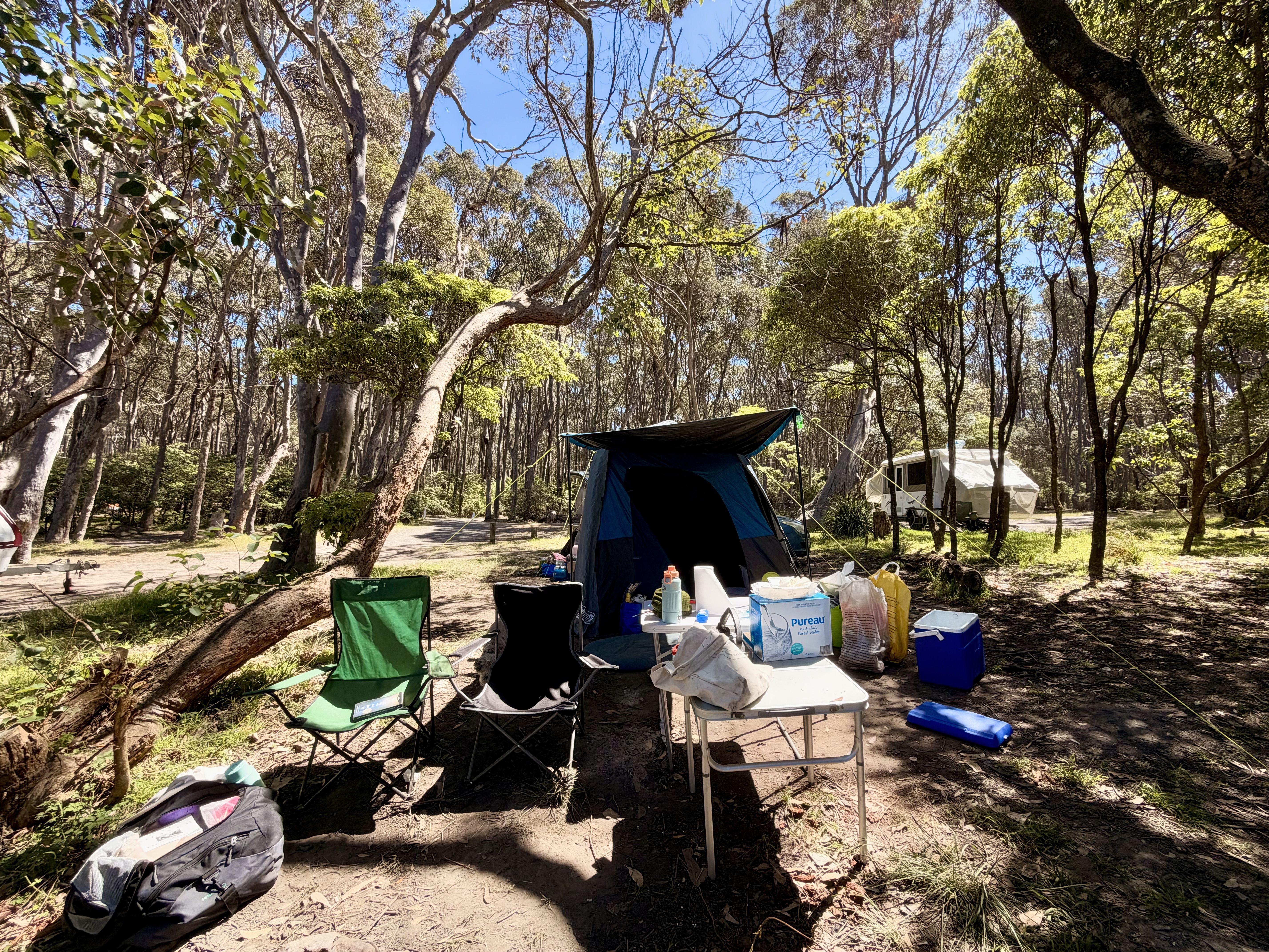 A camping tent and various camping gear in a wooded area.