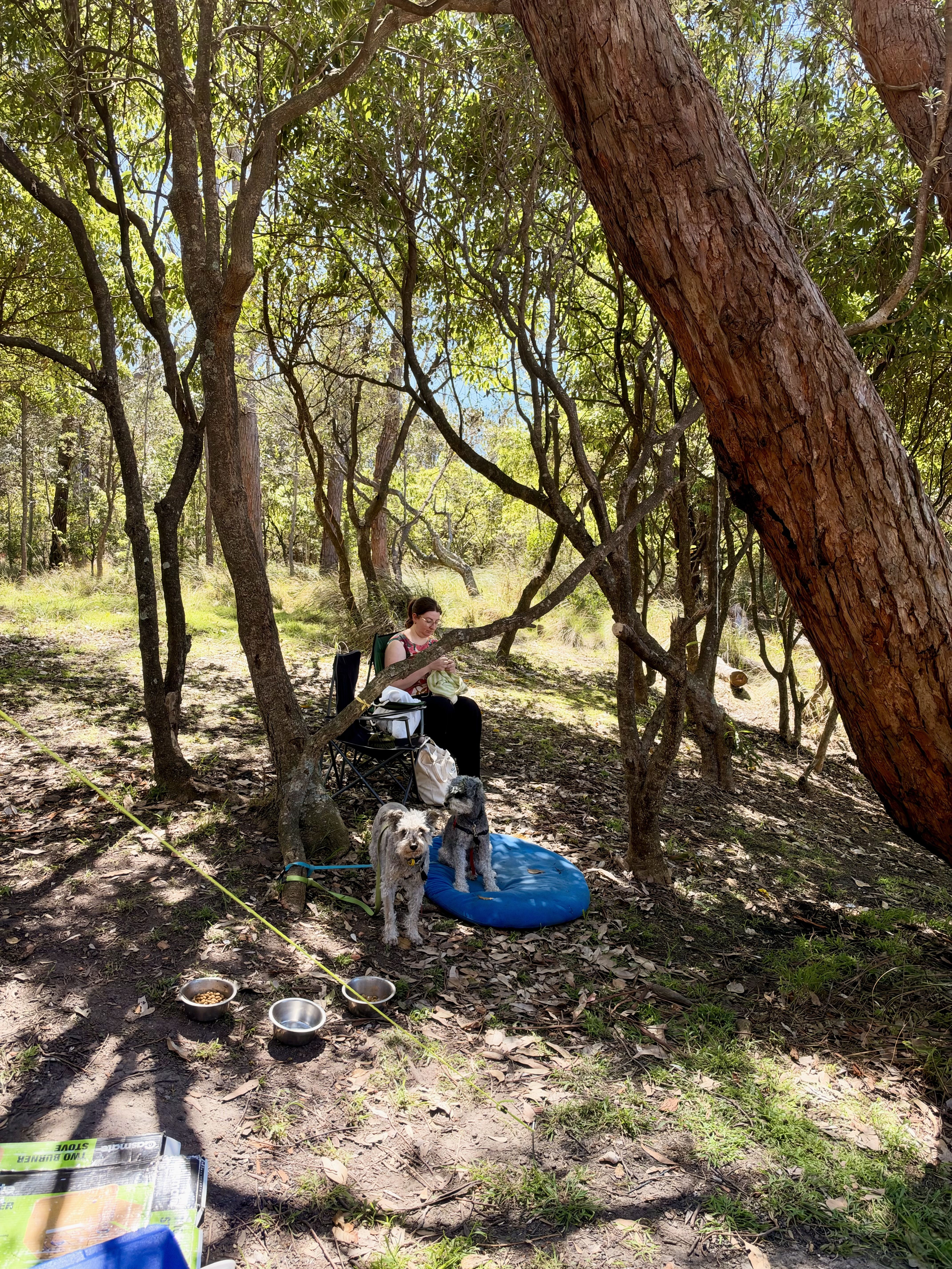 A woman sitting in a chair with a dog and a blue float in a wooded area.