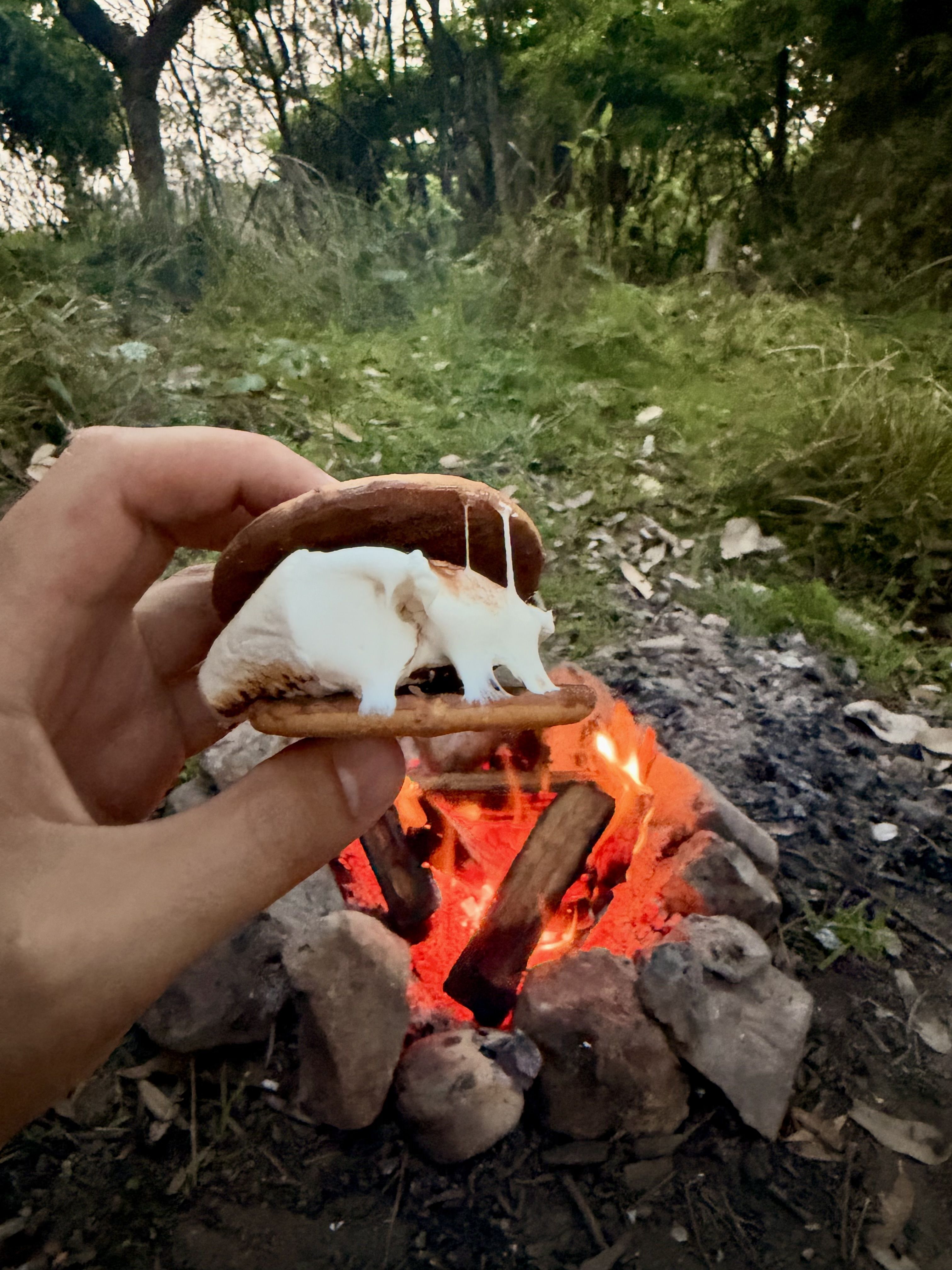 A hand holds a s'more over a campfire in a wooded area.