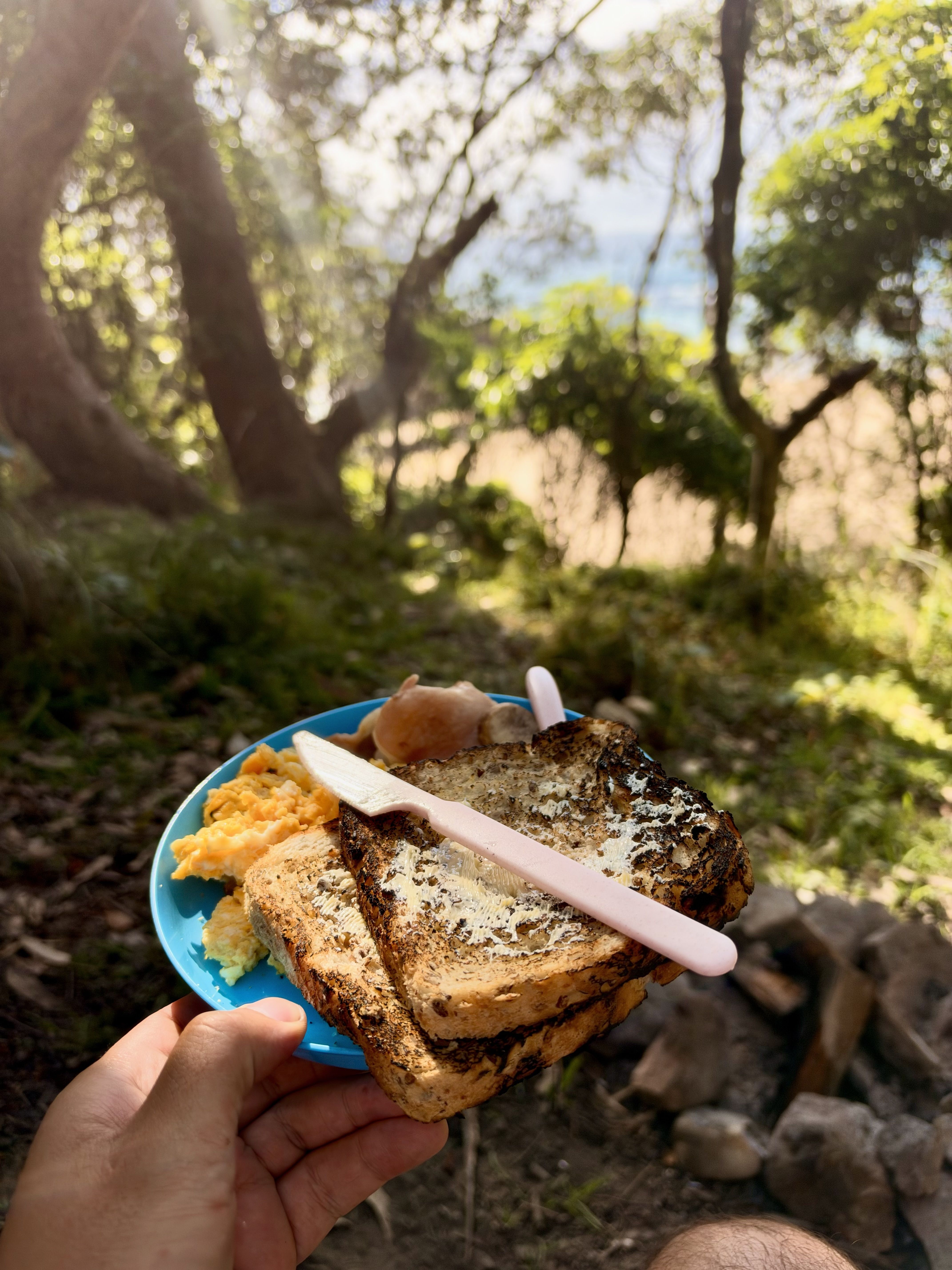 A person holds a plate of toast and eggs in a wooded area.